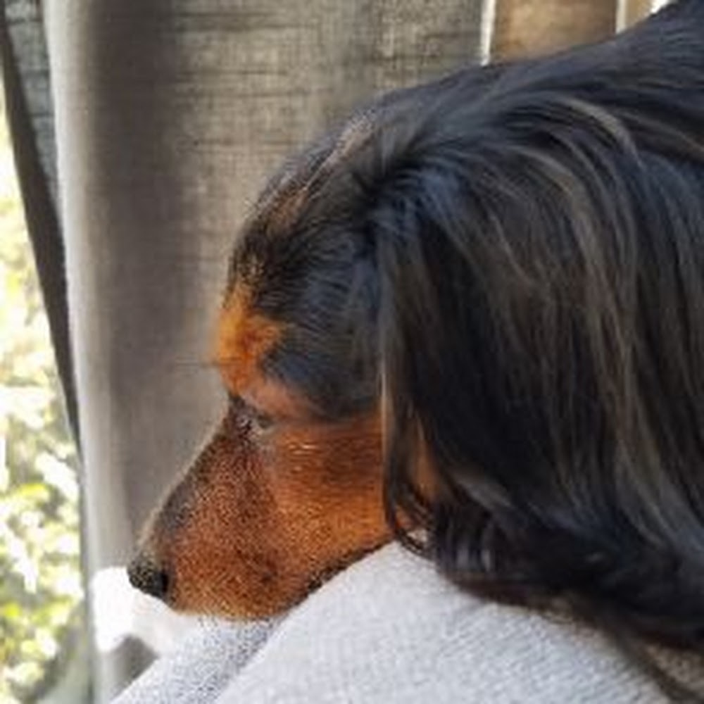 Meet your Posher, Jack